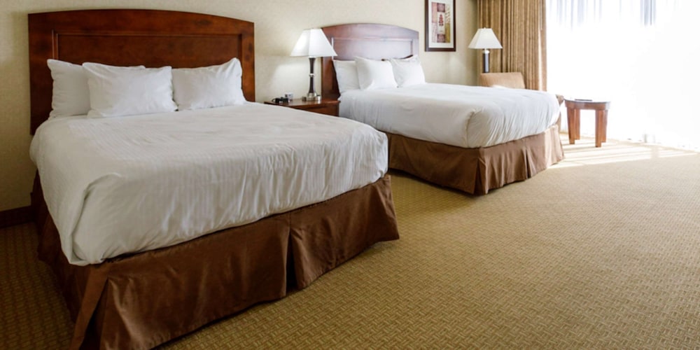 Premium Room, 2 Queen Beds photo 1
