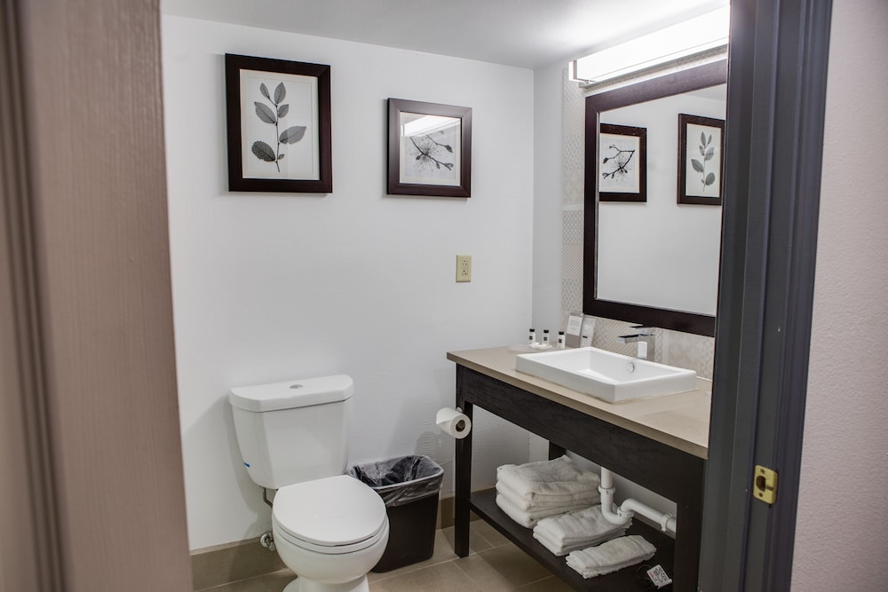 Suite, 1 Bedroom, Non Smoking - Photo 7