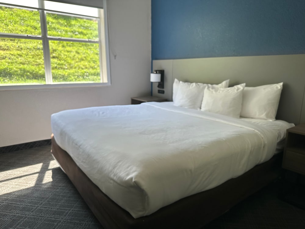 Business Room, 1 King Bed, Accessible, Non Smoking - Photo 2