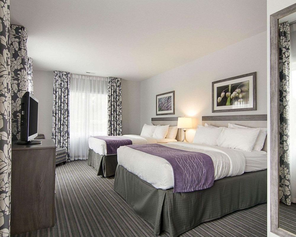 Suite, Multiple Beds, Non Smoking - Photo 2