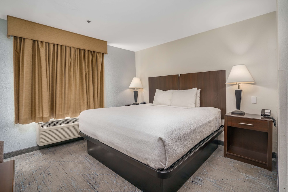Standard Room, 1 King Bed, Non Smoking, Refrigerator & Microwave photo 1