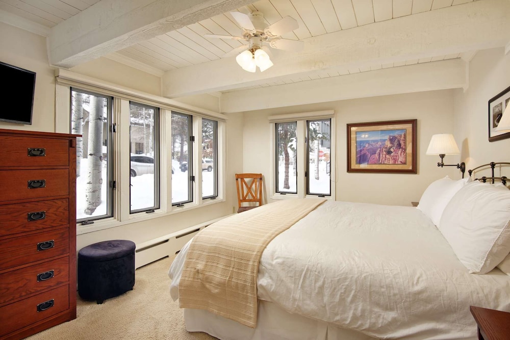 Condo (Cottonwoods 1-D)