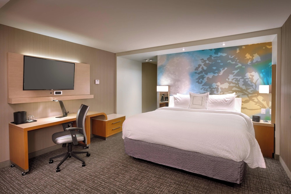 Room, 1 King Bed with Sofa bed