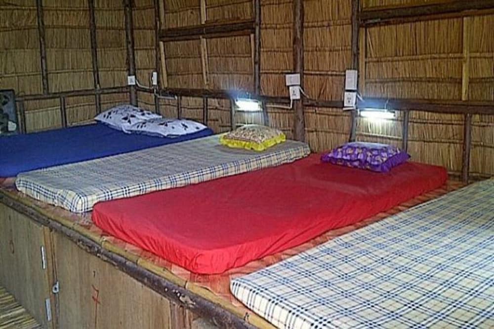 Mixed Dormitory with Shared Bathroom photo 1