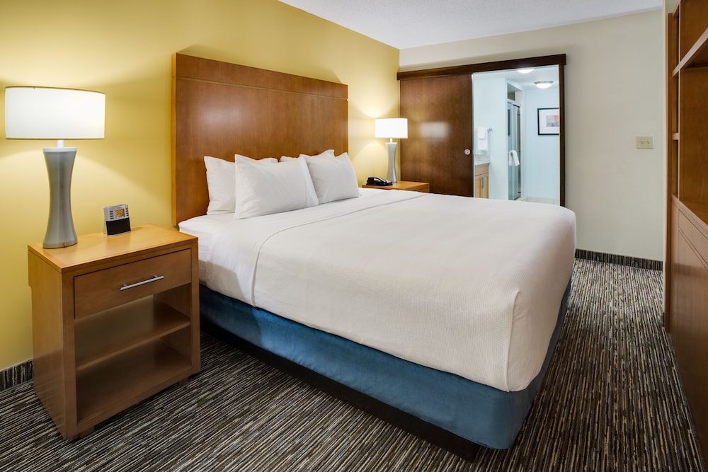 Room, 1 King Bed, Accessible - Photo 3