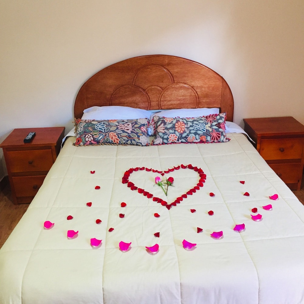 Single Room photo 1