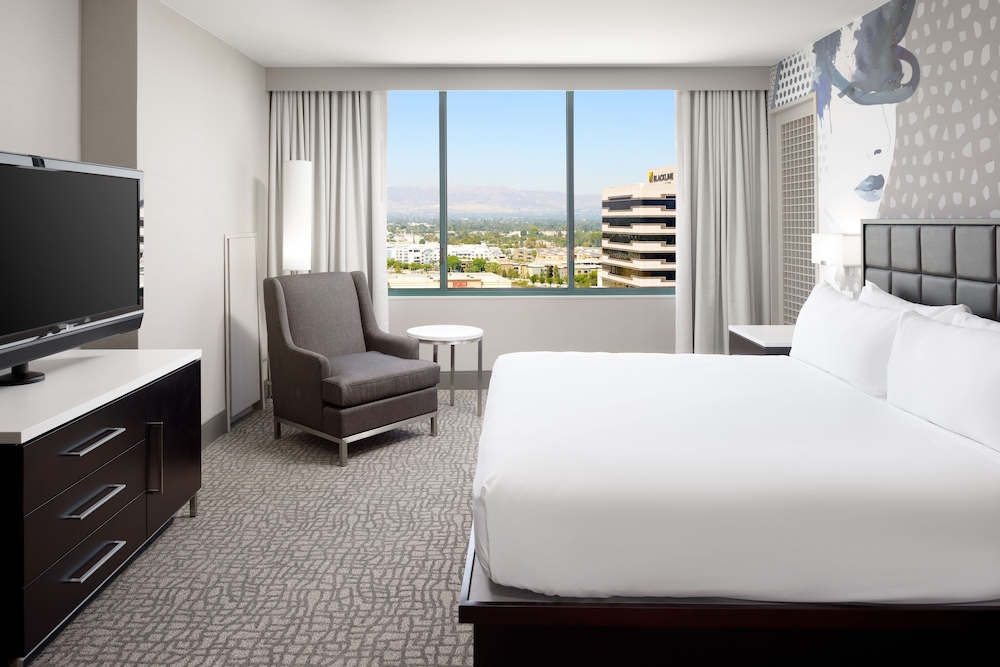 Deluxe Room, 1 King Bed, Accessible, City View (Bathtub) - Photo 3