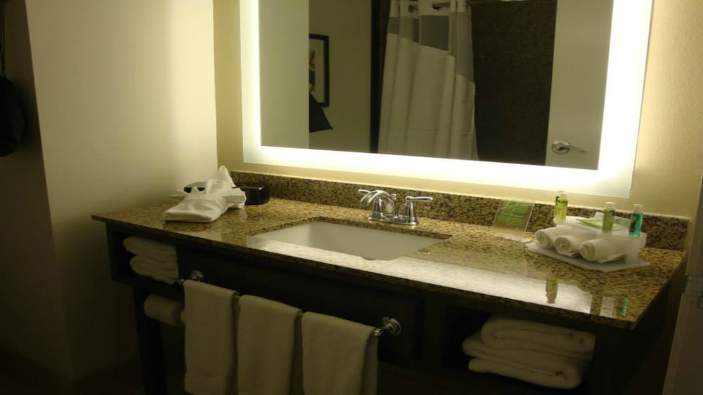 Suite, 1 King Bed, Accessible (Communication Accessible) photo 3