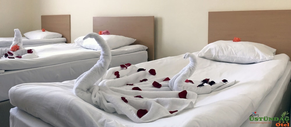 Economy Suite