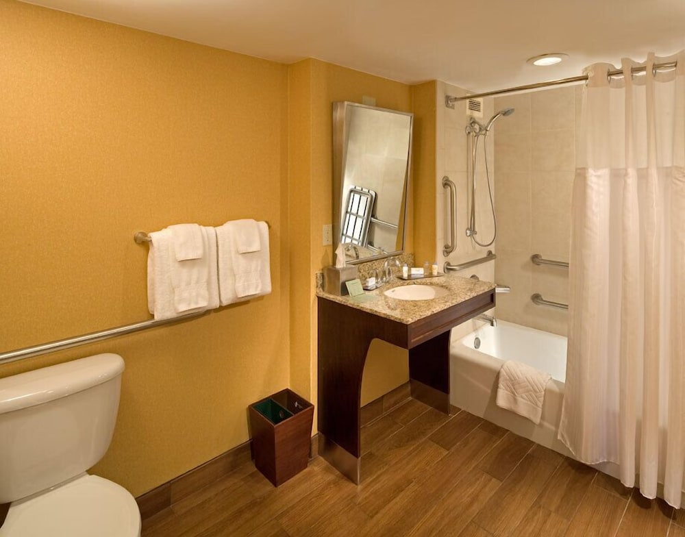 Room, 1 King Bed, Accessible, Bathtub (Mobility & Hearing) - Photo 2