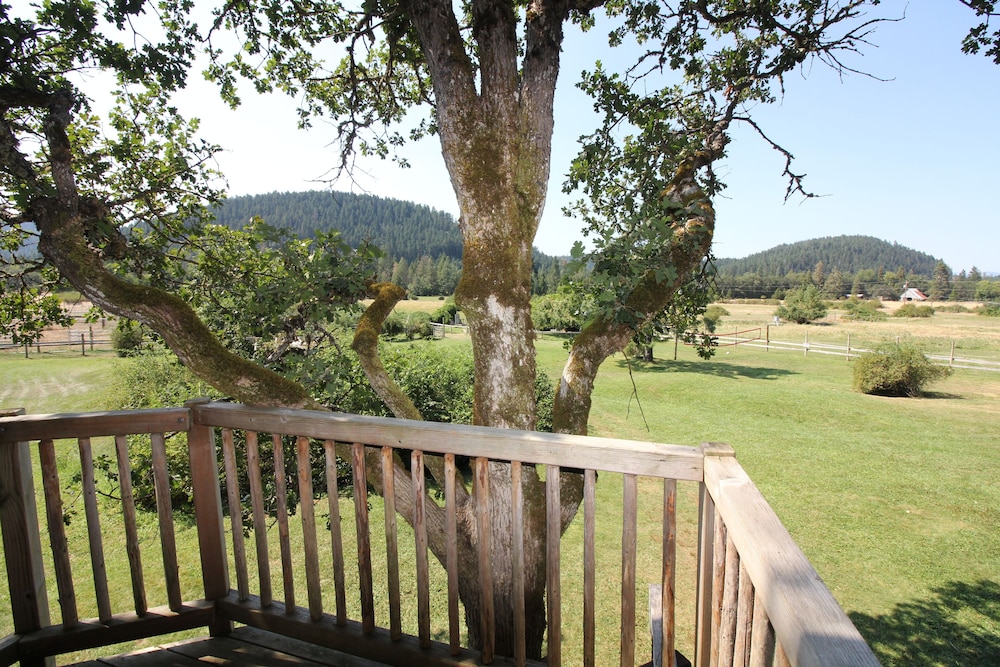 The Treeloon photo 3