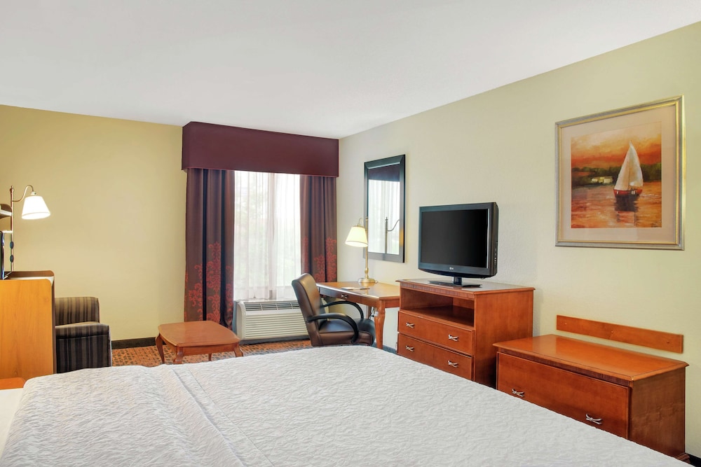 Room, 1 King Bed, Accessible - Photo 3