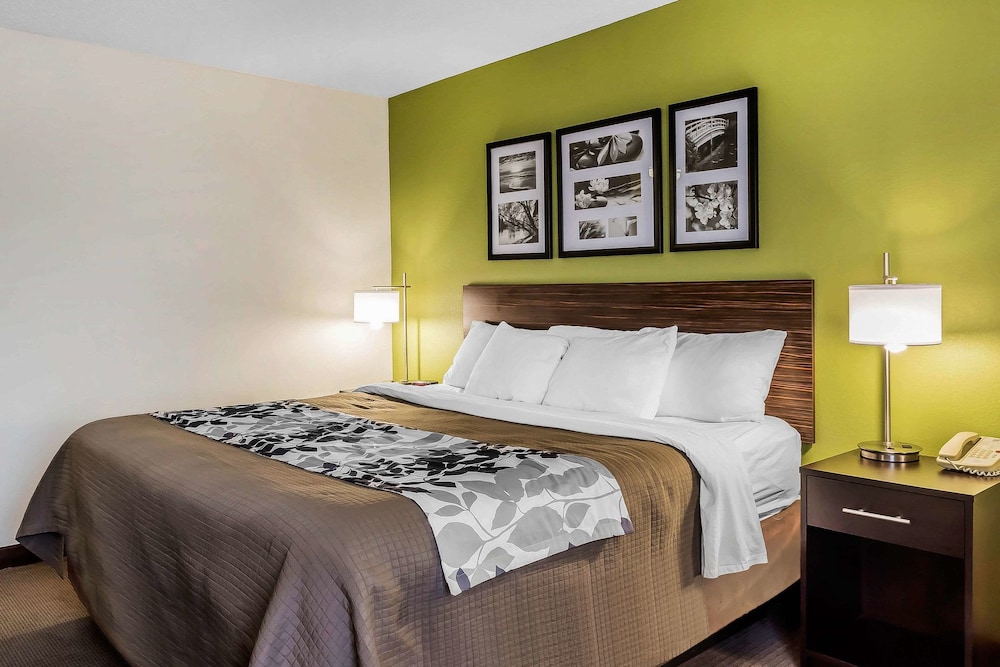 Suite, 1 King Bed with Sofa bed, Accessible, Non Smoking - Photo 1