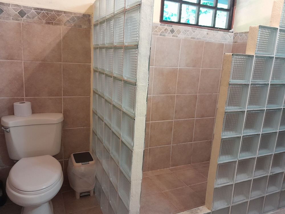 Comfort Suite photo 2