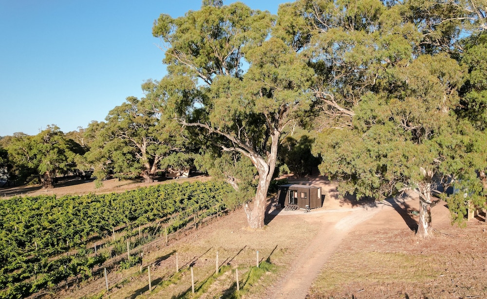 CABN Georgia McLaren Vale photo 1