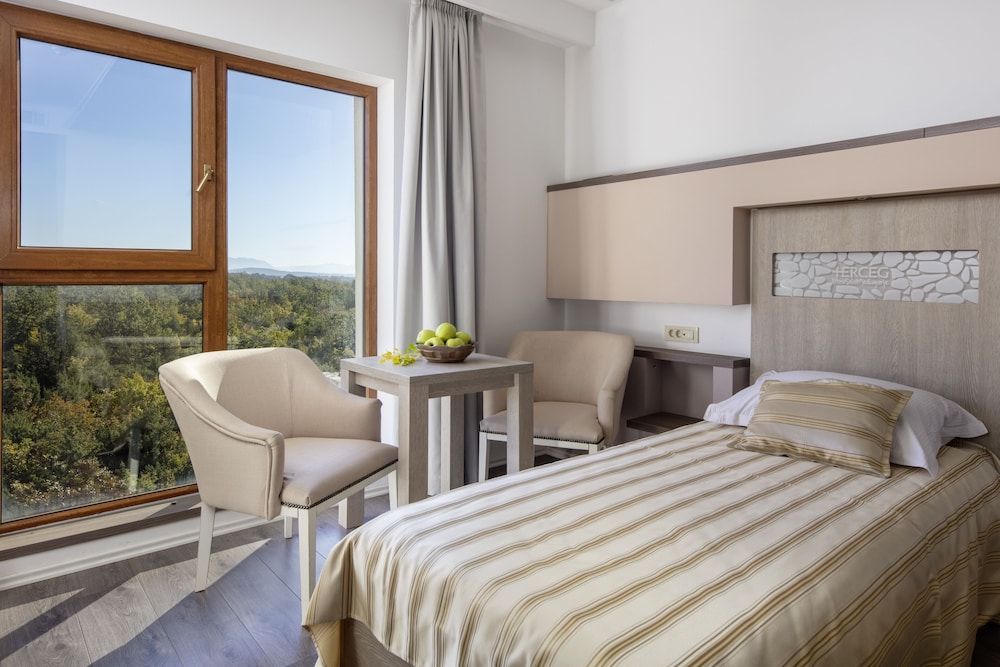 Standard Double or Twin Room, Annex Building (Single Use) - Photo 1