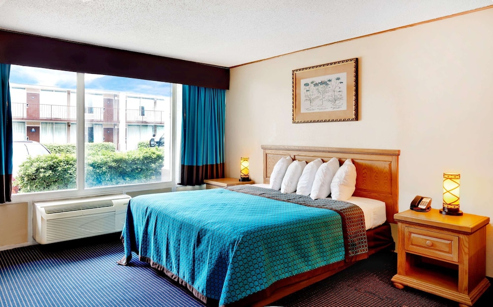 Studio Suite, 1 King Bed, Non Smoking - Photo 7
