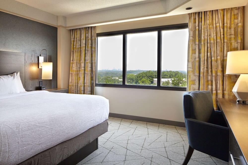 Room, 1 King Bed, Non Smoking (High Floor) photo 1
