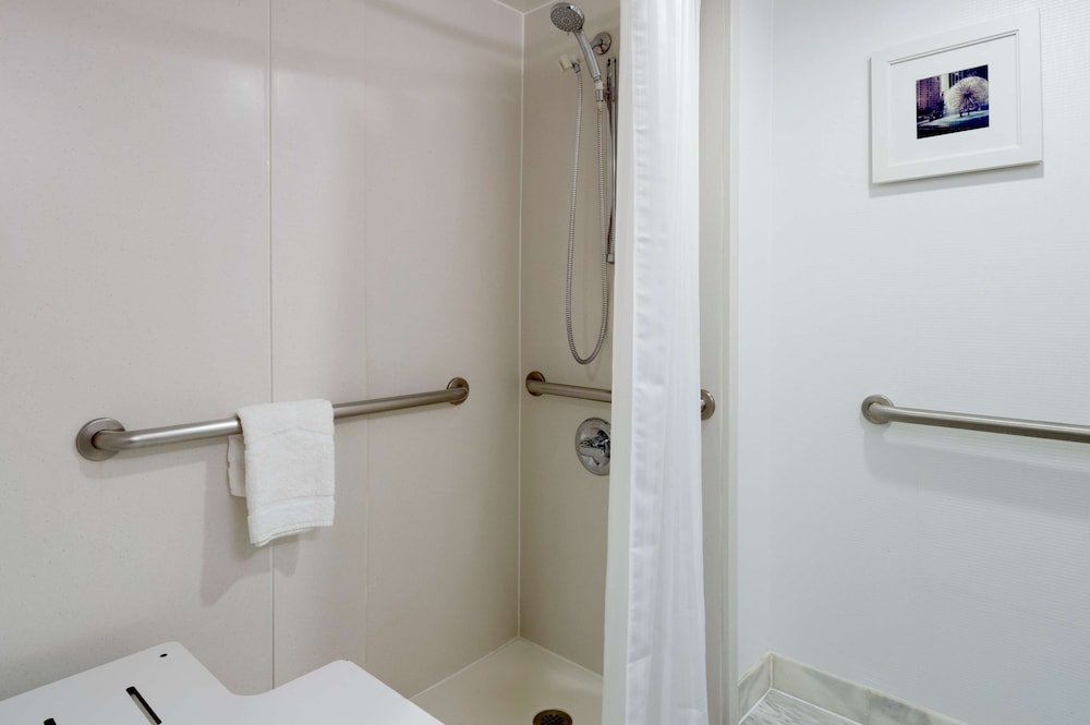 Room, 1 King Bed, Accessible (Roll-In Shower)