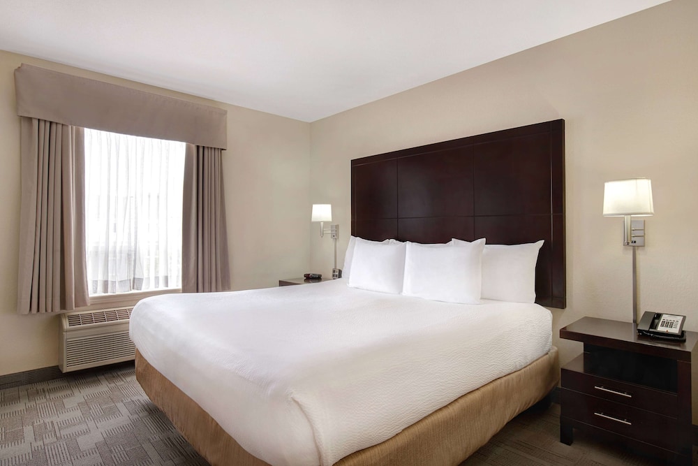 Premium King Suite with Sofa Bed photo 2