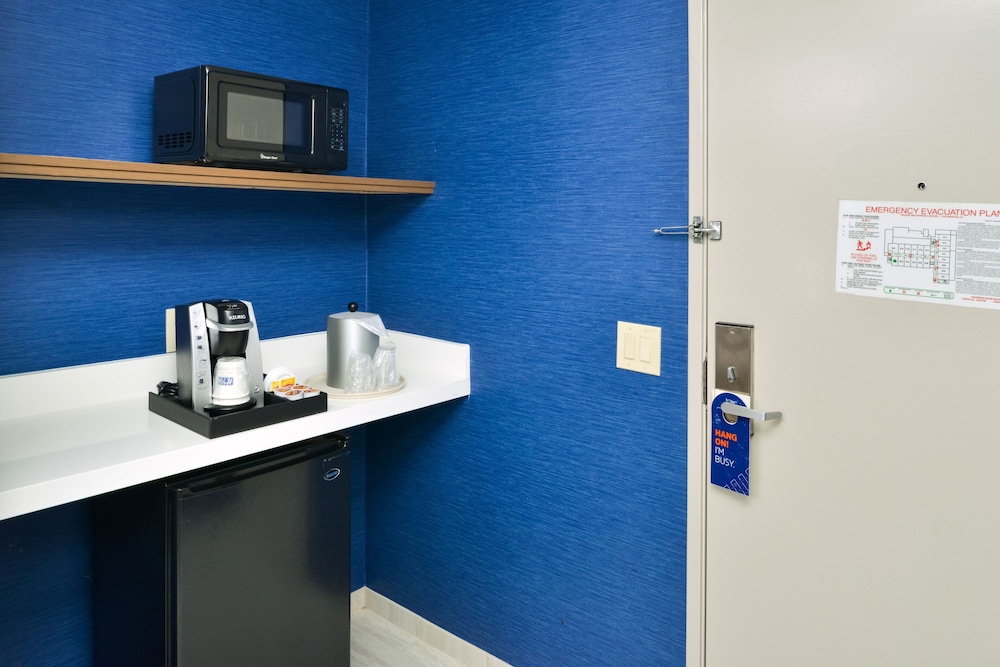 Suite, 1 King Bed, Accessible (Roll-In Shower)