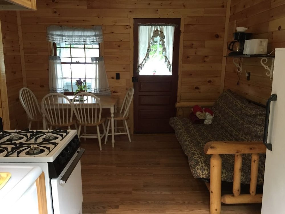 Cabin, 1 Queen Bed with Sofa bed, Kitchen, Partial Lake View photo 3