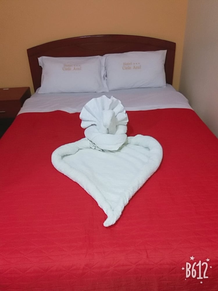 Standard Single Room, 1 Large Twin Bed photo 2