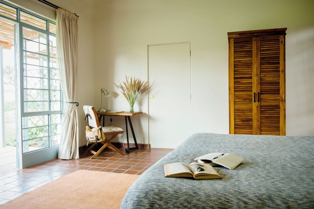 Premier Room, 1 King Bed, Garden View