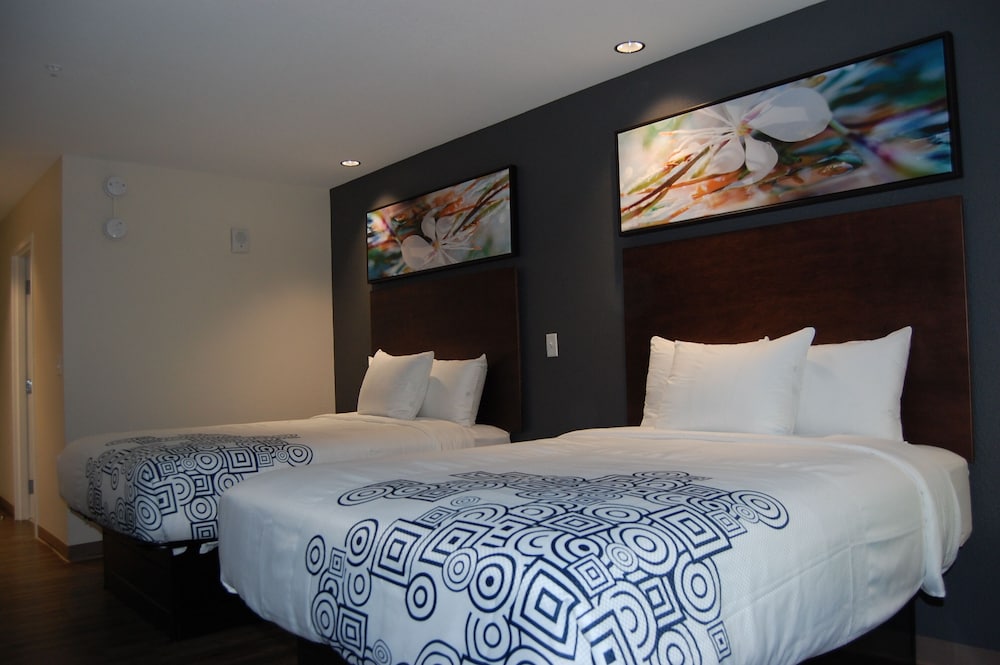 Deluxe Room - Photo 19