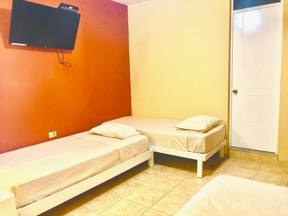 Triple Room, 3 Twin Beds, Private Bathroom photo 3