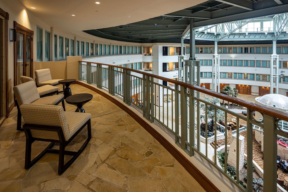 Suite - Photo 5