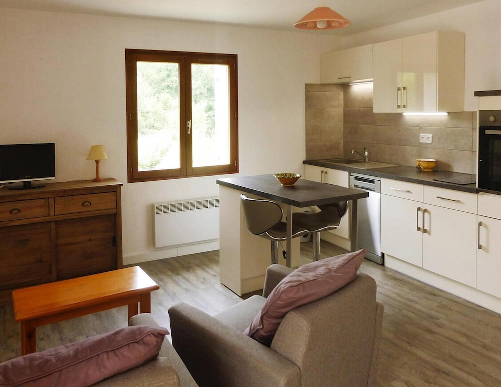 Classic Apartment, 1 Bedroom photo 3