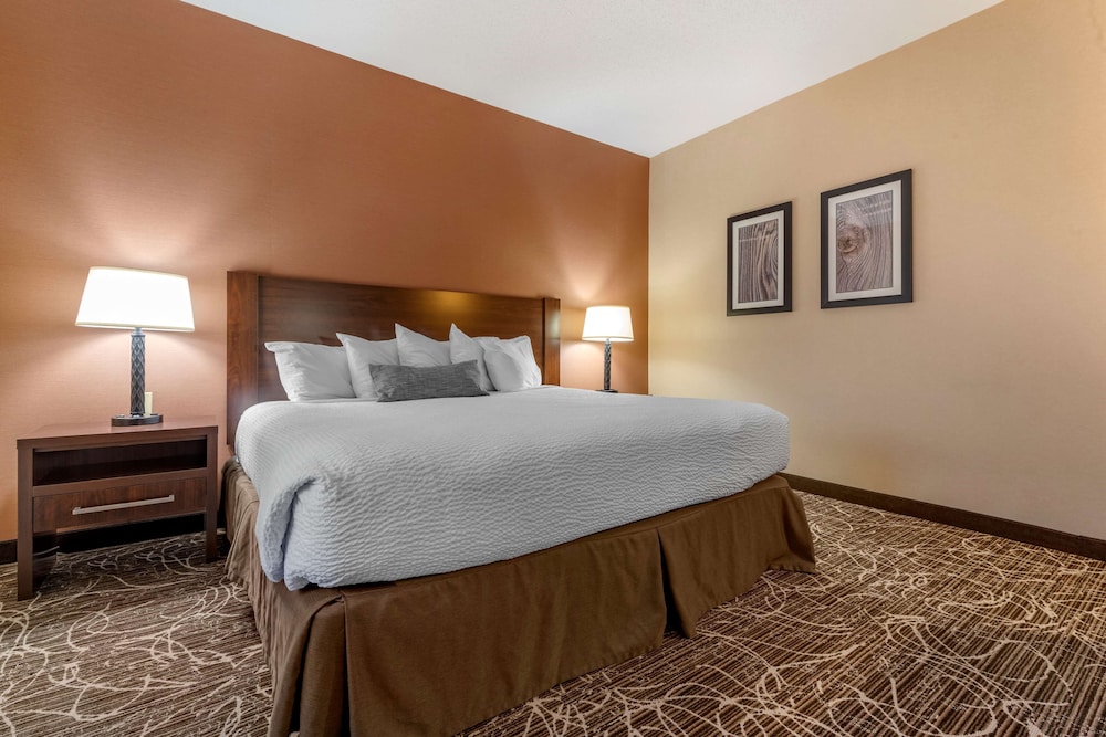 Suite, 1 King Bed, Non Smoking, Refrigerator & Microwave photo 2