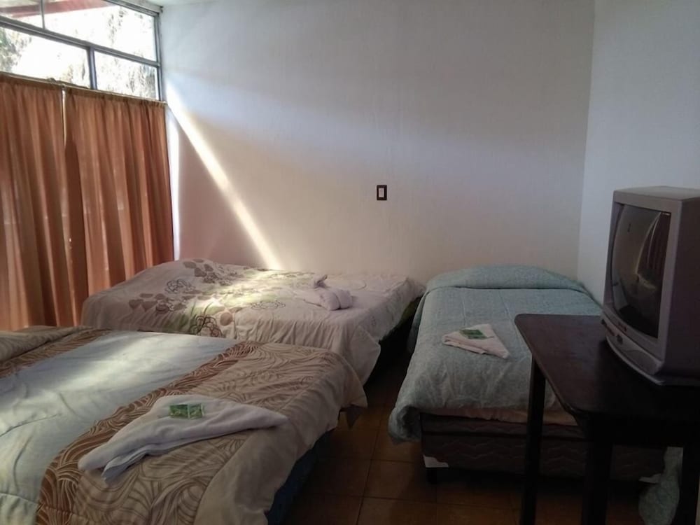 Triple Room, Non Smoking photo 3