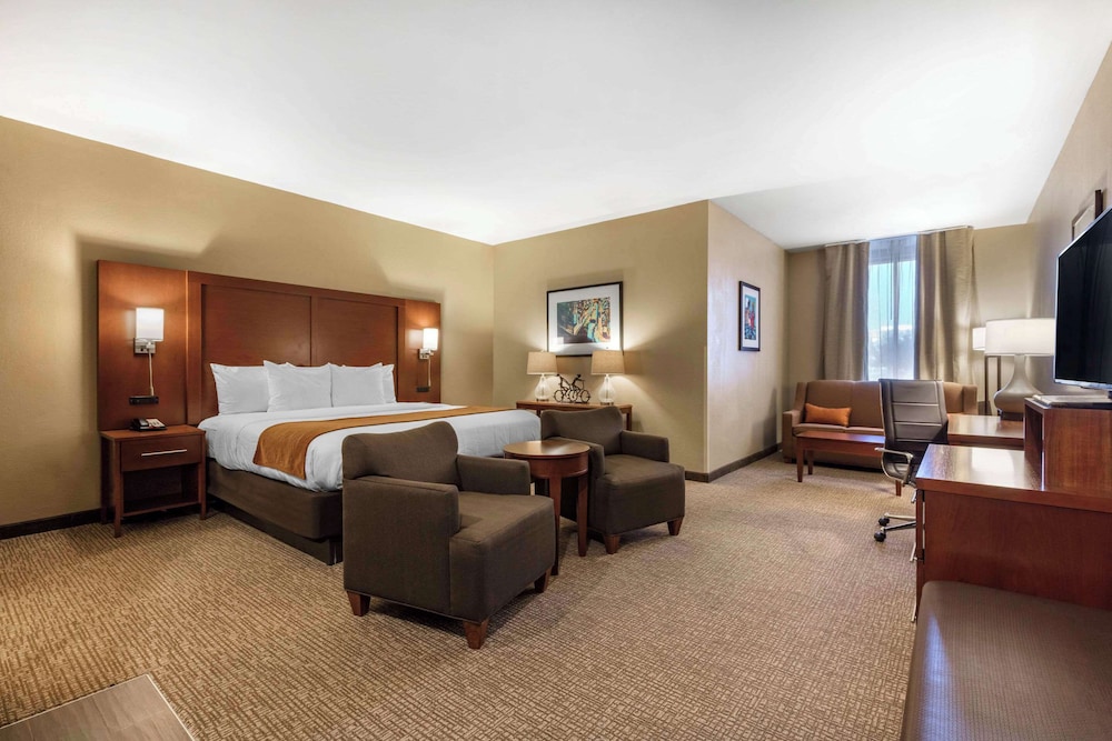 Business Suite, 1 King Bed with Sofa bed, Non Smoking (Upgrade) photo 1