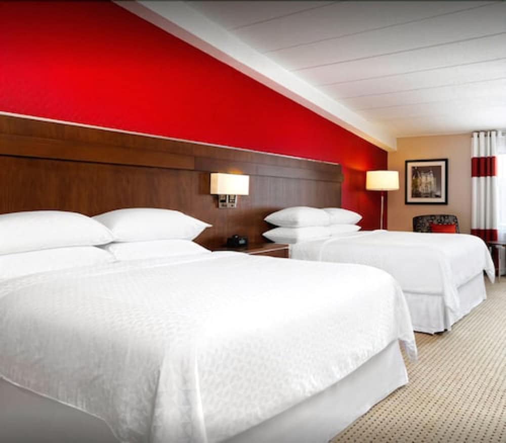 Room, 1 Queen Bed