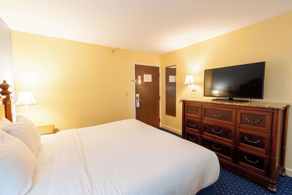 Superior Room, 1 King Bed, Balcony, Bay View - Photo 4