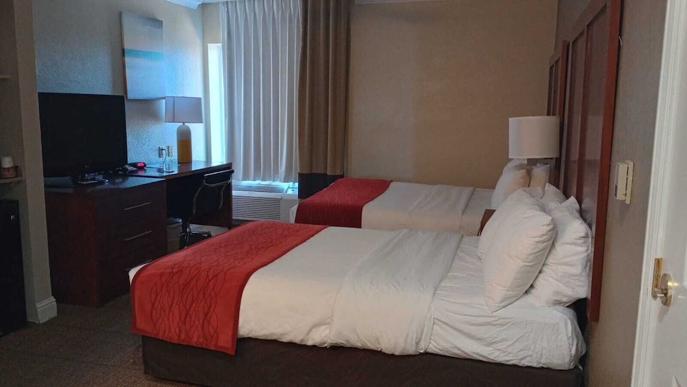Basic Room, 2 Queen Beds photo 3