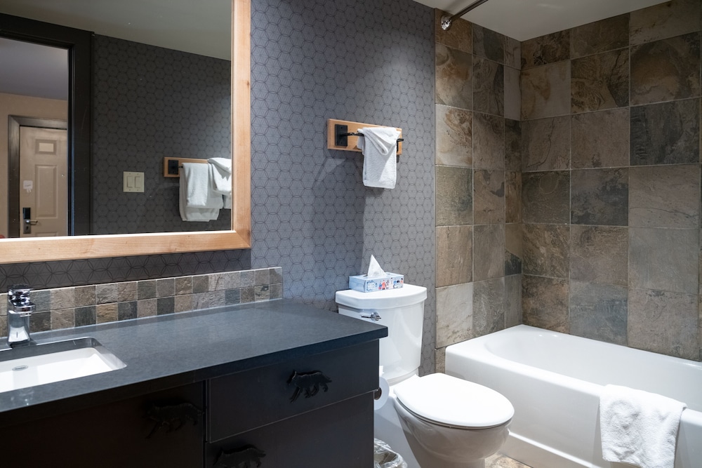 Suite (One Bedroom Wolf) - Photo 7