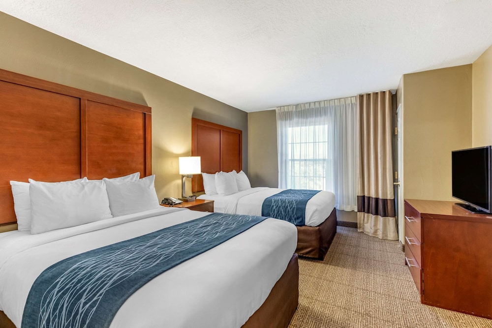 Suite, Multiple Beds, Non Smoking - Photo 1