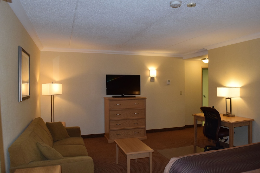 Business Room, 1 King Bed, Non Smoking, Jetted Tub (with Sofabed) photo 3