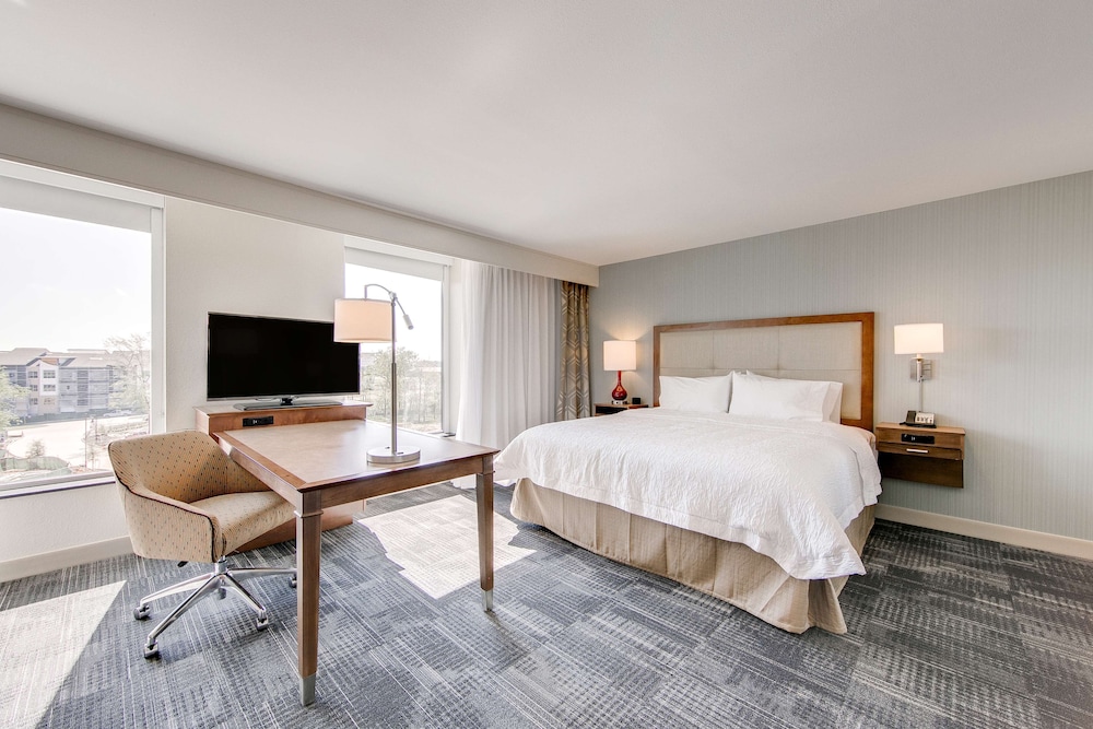 Studio, 1 King Bed, Non Smoking, Refrigerator & Microwave