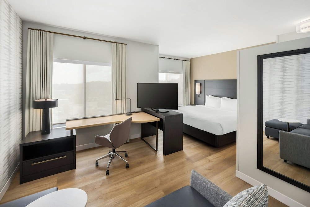 Studio Suite, 1 King Bed with Sofa bed (Mobility Accessible, Transfer Shower)