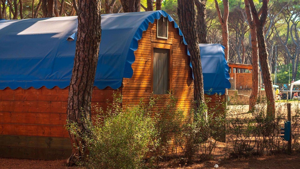 Economy Tent, Shared Bathroom photo 1