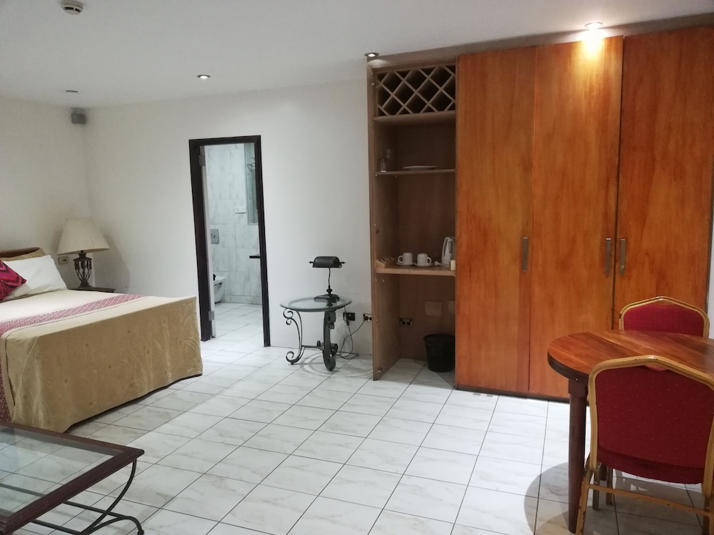 Classic Studio, 1 Double Bed, City View photo 5