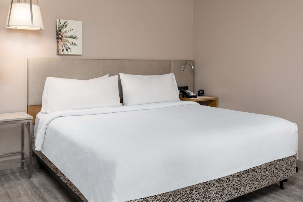 Standard Room, 1 King Bed, Accessible, Non Smoking - Photo 6