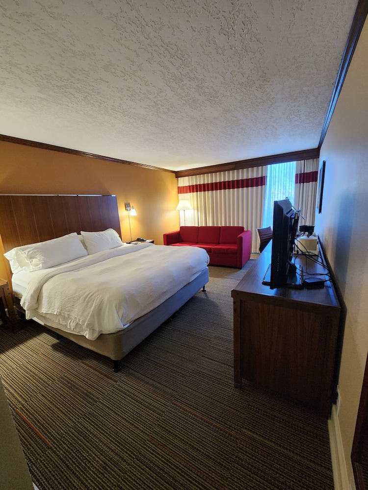Room, 1 Queen Bed photo 3