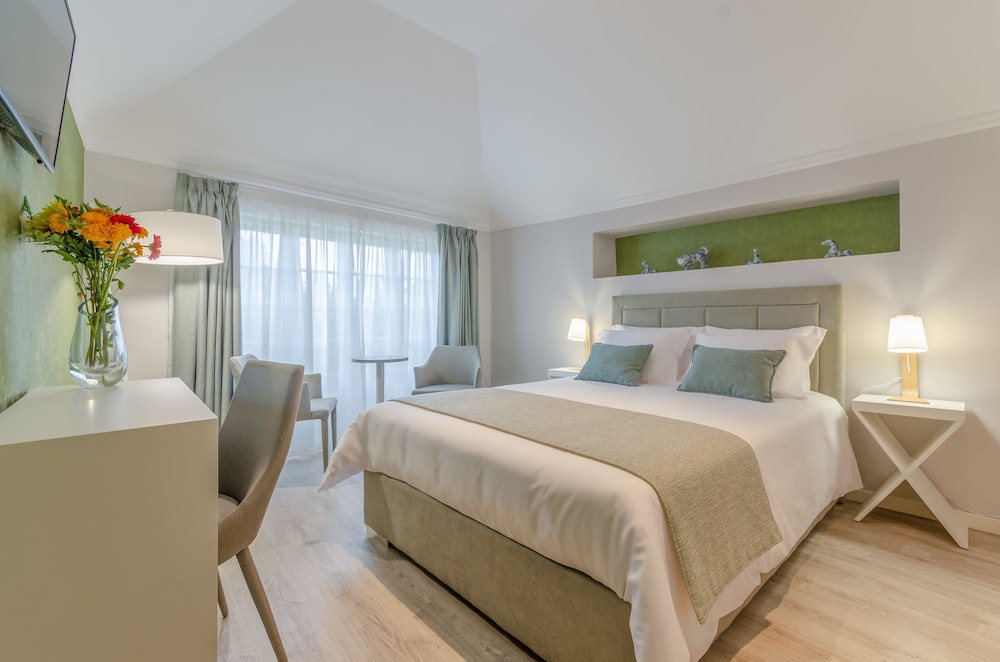 Superior Double Room, 1 Queen Bed, Garden View photo 1