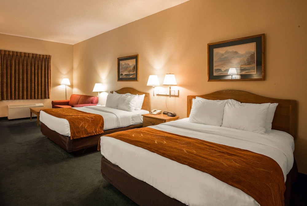 Studio Suite, 2 Queen Beds, Non Smoking - Photo 4