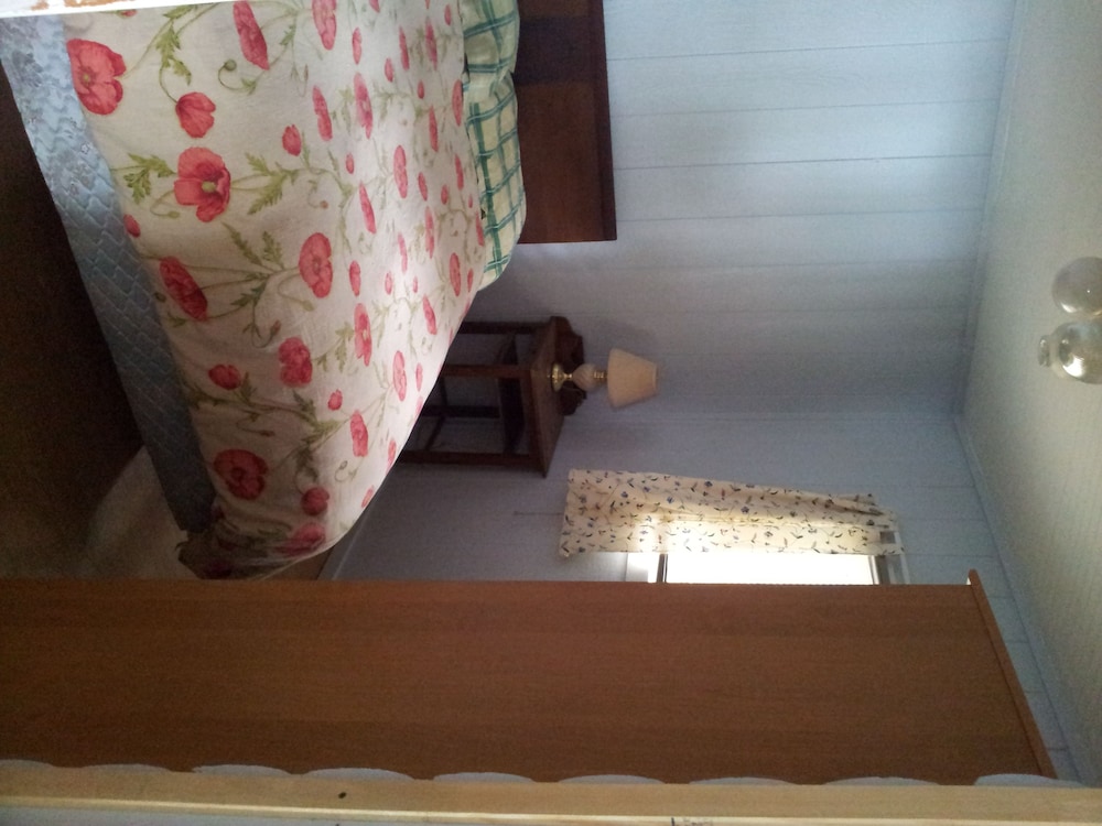 Cabin, 2 Bedrooms, Kitchenette, Lake View photo 1